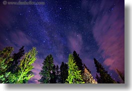 images/UnitedStates/Idaho/RedHorseMountainRanch/Scenics/trees-n-milky-way-6.jpg