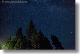 images/UnitedStates/Idaho/RedHorseMountainRanch/Scenics/trees-n-milky-way-7.jpg
