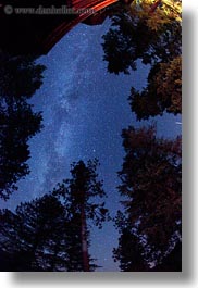 images/UnitedStates/Idaho/RedHorseMountainRanch/Scenics/trees-n-milky-way-8.jpg