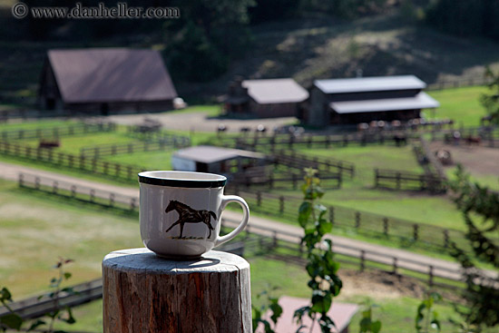 horse-coffee-cup.jpg