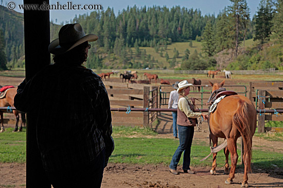 michelle-watching-horses.jpg