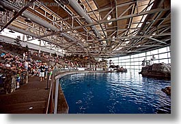 images/UnitedStates/Illinois/Chicago/Aquarium/dolphin-tank-arena.jpg