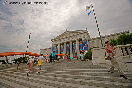 john-shedd-aquarium-1.jpg