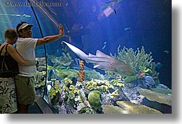 images/UnitedStates/Illinois/Chicago/Aquarium/people-viewing-aquarium-02.jpg