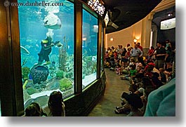 images/UnitedStates/Illinois/Chicago/Aquarium/people-viewing-aquarium-06.jpg