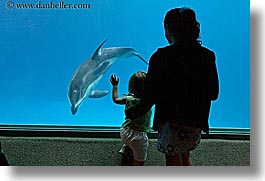 images/UnitedStates/Illinois/Chicago/Aquarium/people-viewing-aquarium-07.jpg