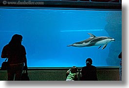 images/UnitedStates/Illinois/Chicago/Aquarium/people-viewing-aquarium-09.jpg