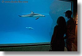 images/UnitedStates/Illinois/Chicago/Aquarium/people-viewing-aquarium-10.jpg