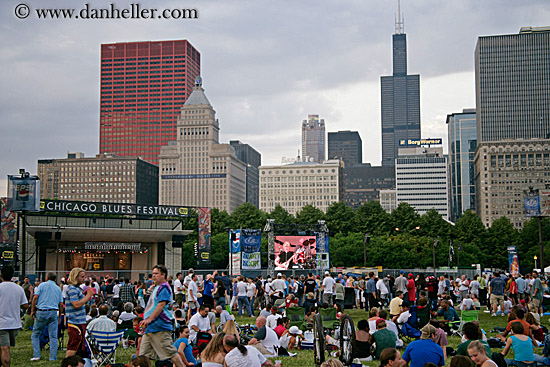 blues-festival-crowd-5.jpg