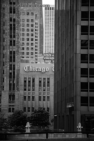 chicago-tribune-bldg-bw.jpg