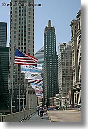 images/UnitedStates/Illinois/Chicago/Cityscapes/Flags/bldgs-n-flags-5.jpg