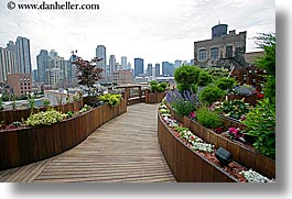 images/UnitedStates/Illinois/Chicago/Cityscapes/rooftop-garden-cityscape-1.jpg