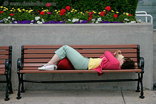 reading-on-bench.jpg