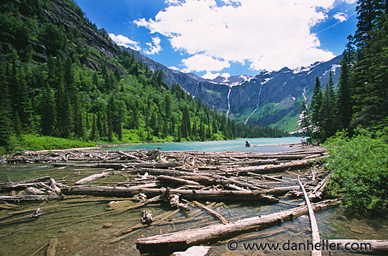 avalanche-lake9.jpg