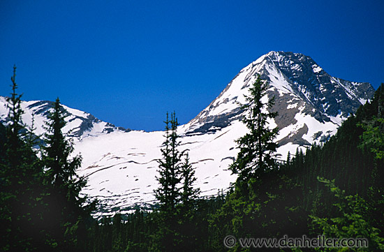 logan-pass-04.jpg