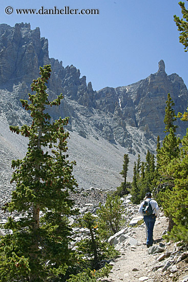 hiking-glacier_trail-03.jpg