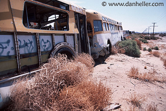 junkyard-busses.jpg