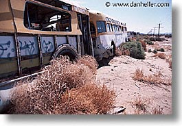 images/UnitedStates/Nevada/Hwy50/junkyard-busses.jpg