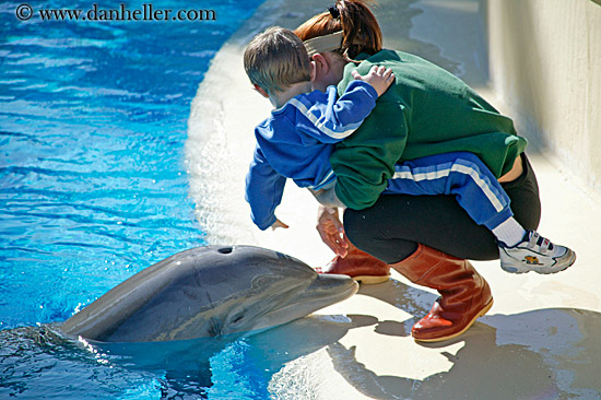 dolphin-n-kid-1.jpg