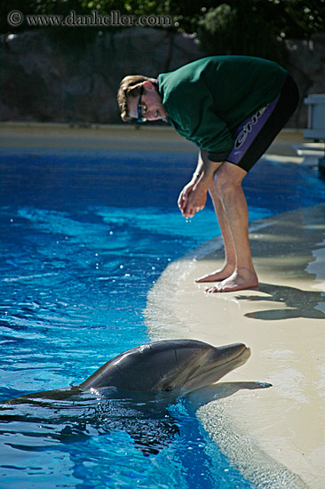 dolphin-n-trainer-2.jpg