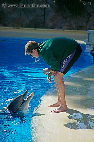 dolphin-n-trainer-3.jpg