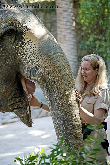 elephant-n-trainer-1.jpg