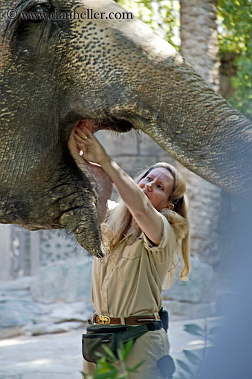 elephant-n-trainer-2.jpg