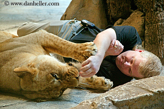 lion-trainer-05.jpg