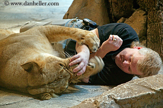 lion-trainer-07.jpg