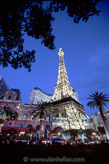 paris-dusk-tree.jpg