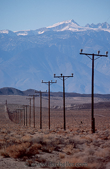 phone-poles-1.jpg