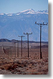 images/UnitedStates/Nevada/Scenics/phone-poles-1.jpg