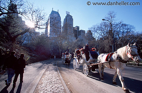 central-park-0003.jpg