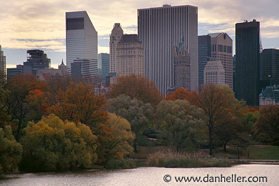 city-trees-water.jpg