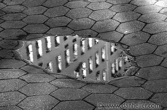 puddle-reflect-bw.jpg