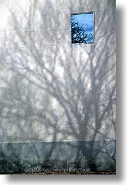 images/UnitedStates/NewYork/Misc/tree-shadow-3.jpg