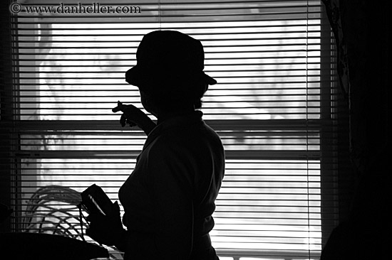 window-blinds-n-sil-bw.jpg