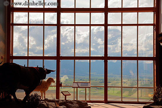 window-n-cloud-view-1.jpg