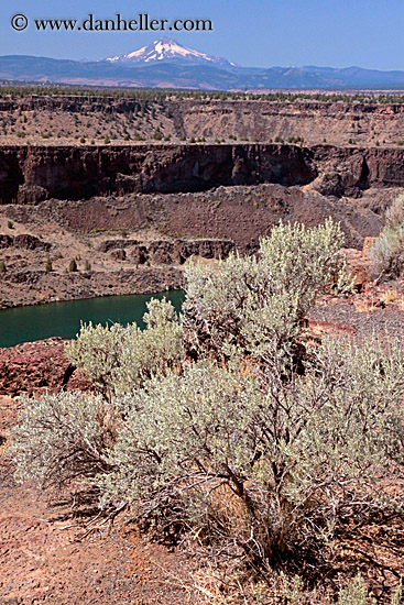 shrub-n-mt_jefferson.jpg