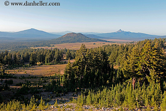 mtns-trees-n-landscape-5.jpg