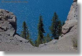 images/UnitedStates/Oregon/CraterLake/Vegetation/tree-n-lake-view-03.jpg