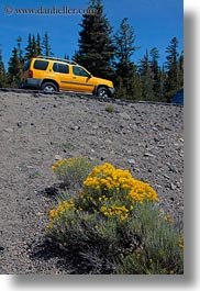 images/UnitedStates/Oregon/CraterLake/Vegetation/yellow-flowers-n-truck.jpg