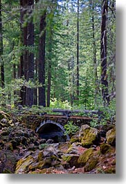 images/UnitedStates/Oregon/RogueGorge/stone-bridge-in-forest.jpg