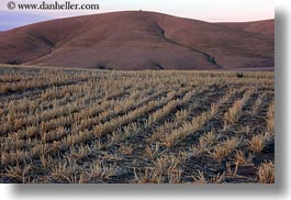 images/UnitedStates/Oregon/Scenics/Landscapes/agriculture-rows-2.jpg
