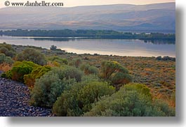 images/UnitedStates/Oregon/Scenics/Landscapes/bushes-n-river-1.jpg
