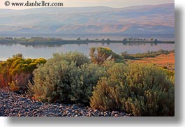 images/UnitedStates/Oregon/Scenics/Landscapes/bushes-n-river-3.jpg