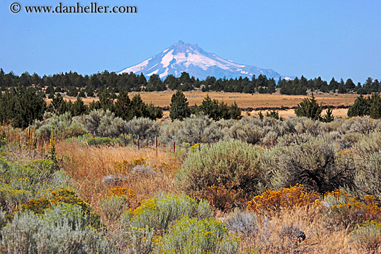 mt_jefferson-n-shrubs-3.jpg