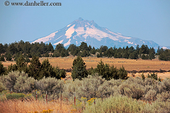 mt_jefferson-n-shrubs-4.jpg