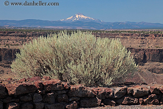 mt_jefferson-n-shrubs-7.jpg