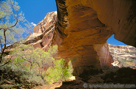 natural-bridge.jpg